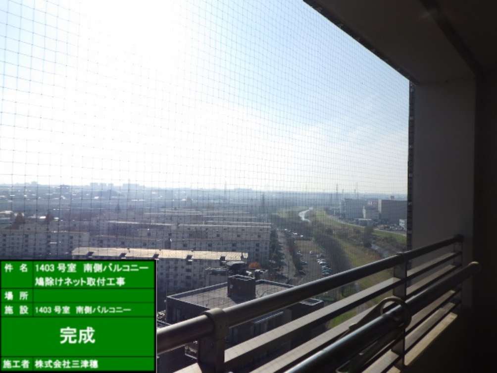 鳩除けネット取付　完了